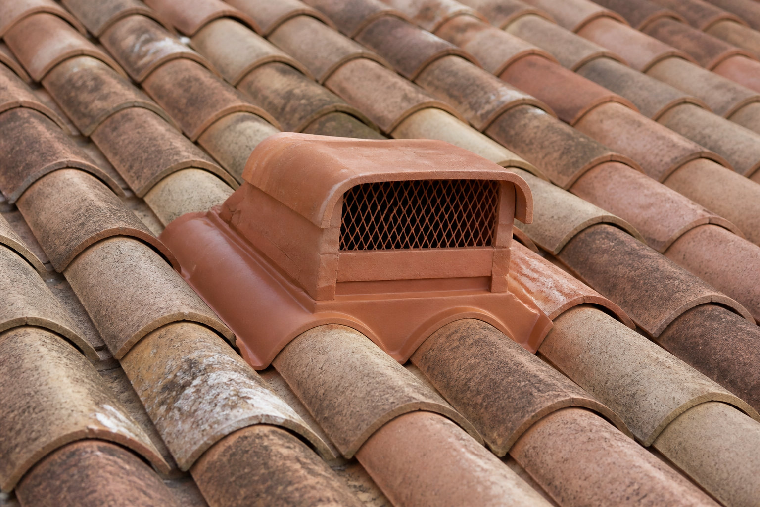 Maintenir une charpente saine : humidité, ventilation et tarifs