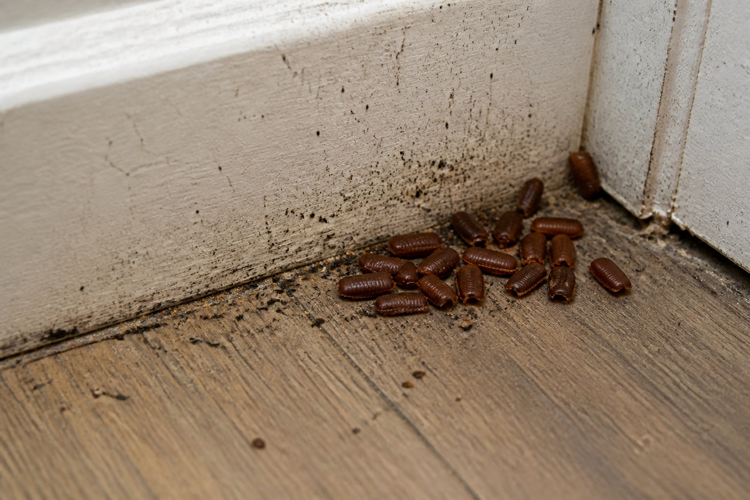 3 obstacles qui rendent les solutions maison inefficaces