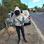 Intervenant en tenue de protection tenant la branche coupée qui porte un nid de frelons, devant le véhicule d'intervention Occitanie GF