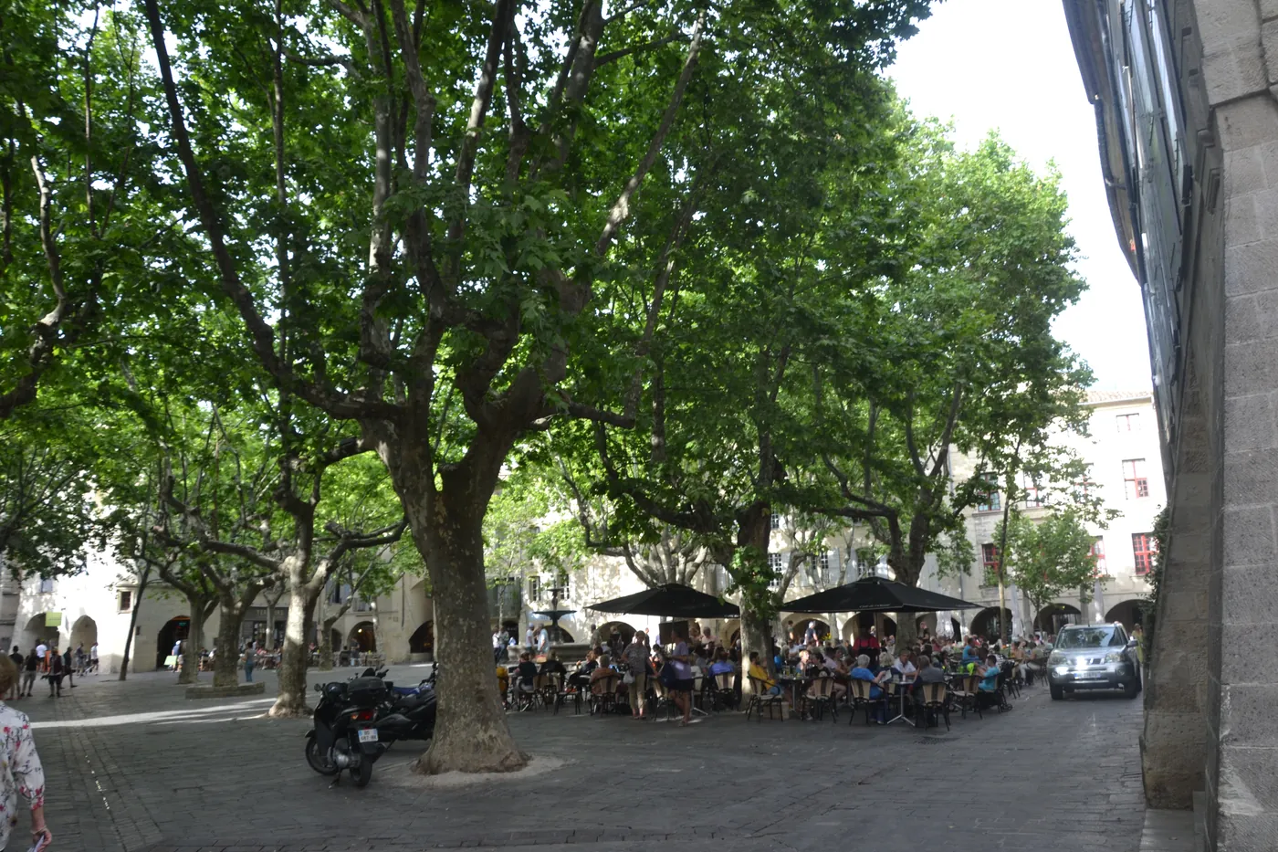 Uzès : les terrasses de la place aux Herbes, sous les platanes