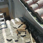 Plaques de fientes de pigeons accumulées et grattées sur une toiture en tuiles, le long d'une gouttière