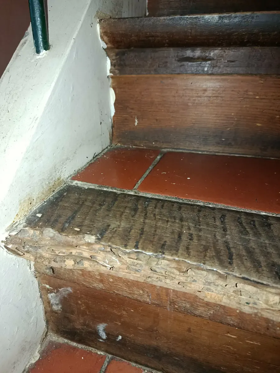 Nez de marche d'escalier en bois rongé et feuilleté par les termites, au-dessus de tomettes