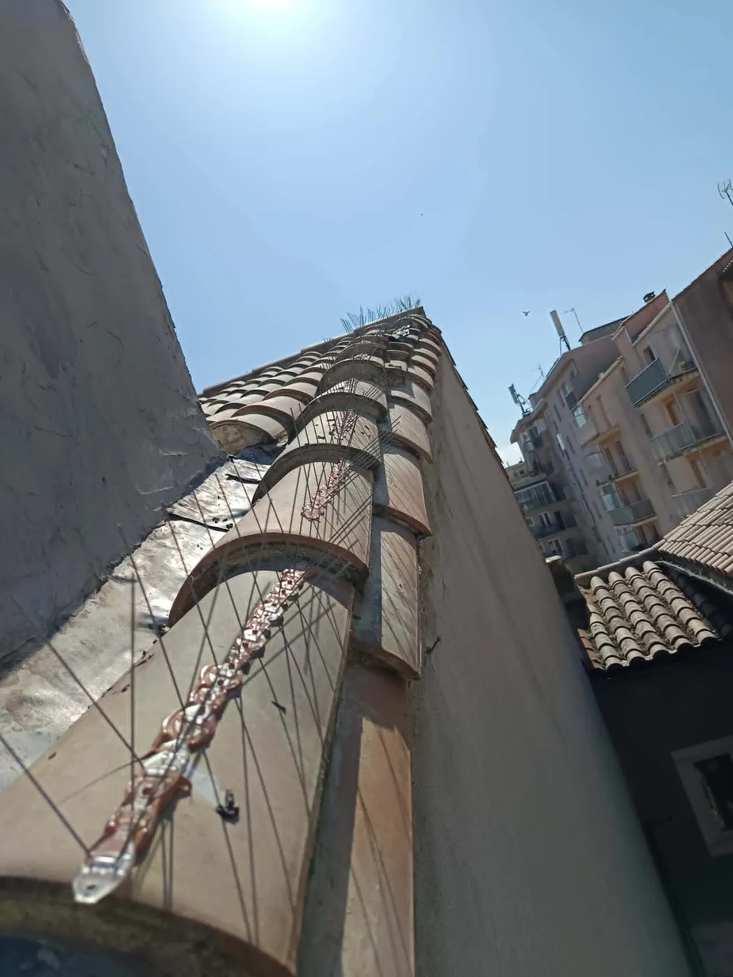 Pics anti-pigeons fixés sur le faîtage d'un toit en tuiles, entre deux immeubles
